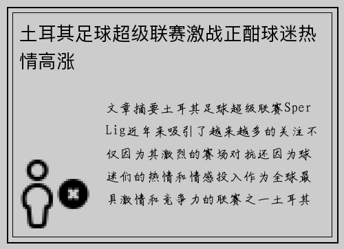 土耳其足球超级联赛激战正酣球迷热情高涨 土耳其足球超级联赛激战正酣球迷热情高涨